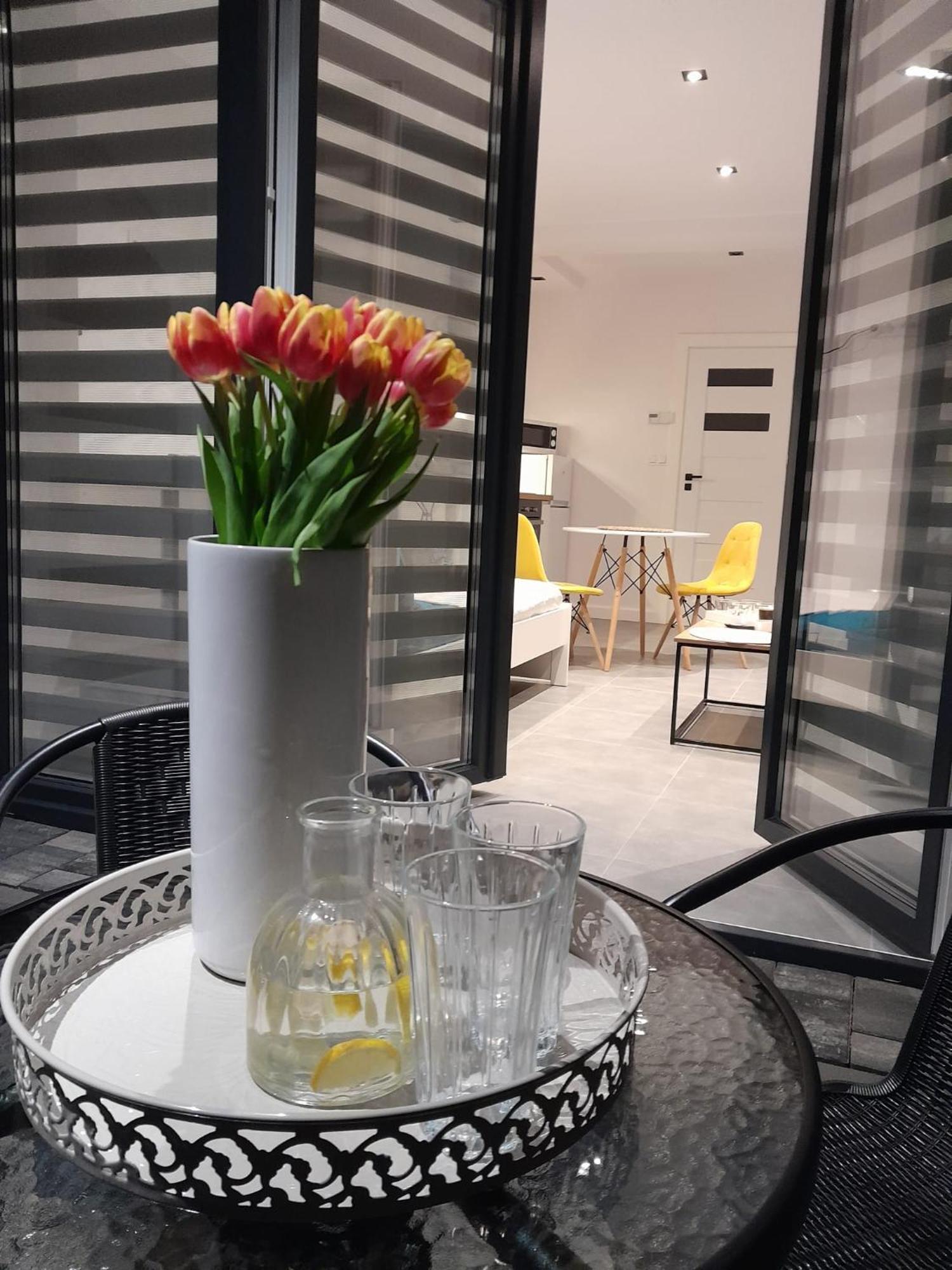 Viva Apartments 奥斯威辛 外观 照片