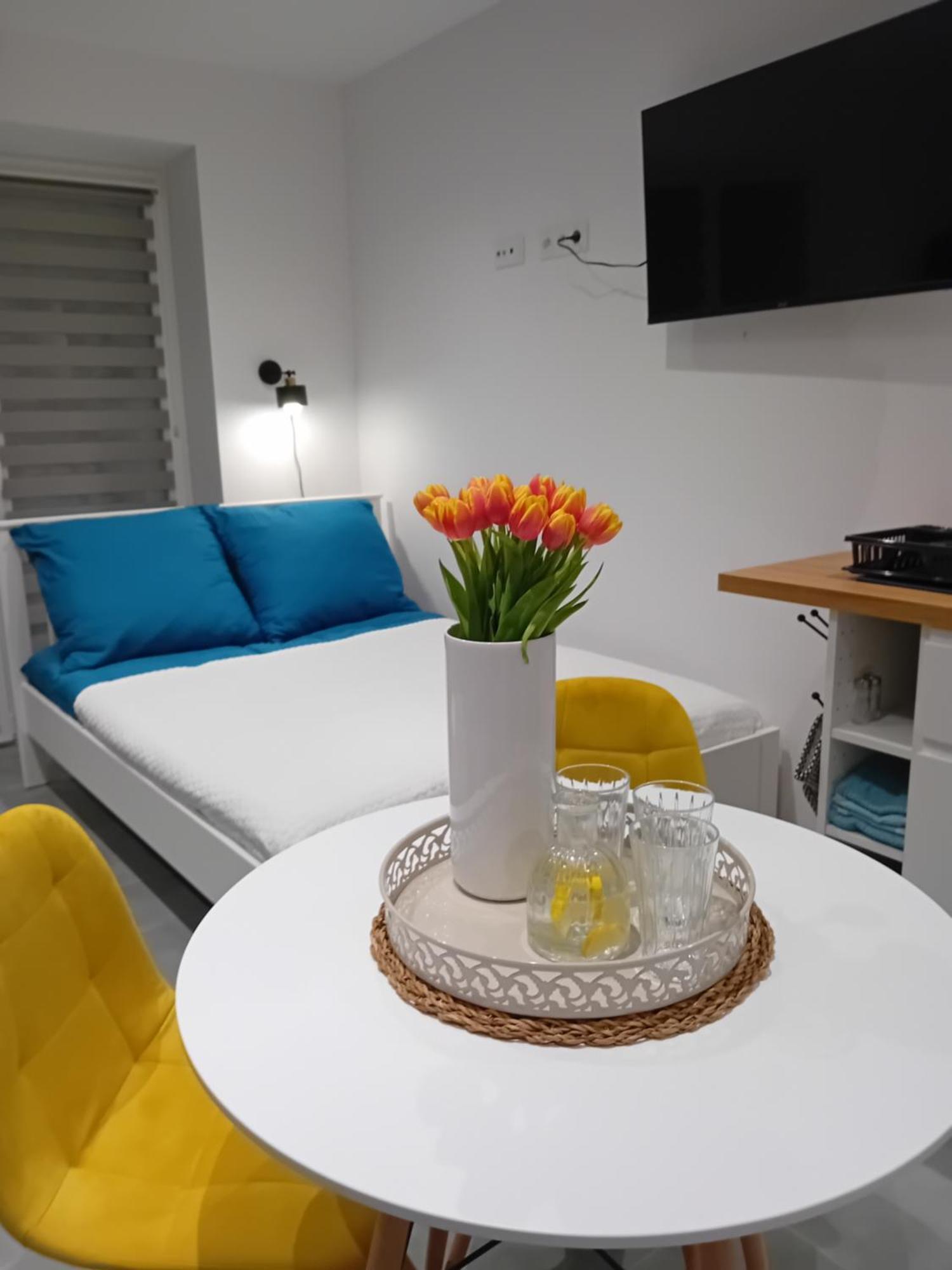 Viva Apartments 奥斯威辛 外观 照片
