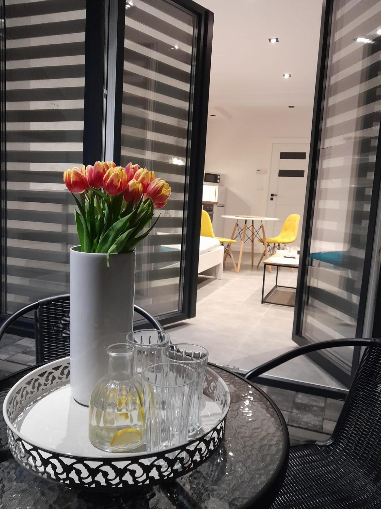 Viva Apartments 奥斯威辛 外观 照片